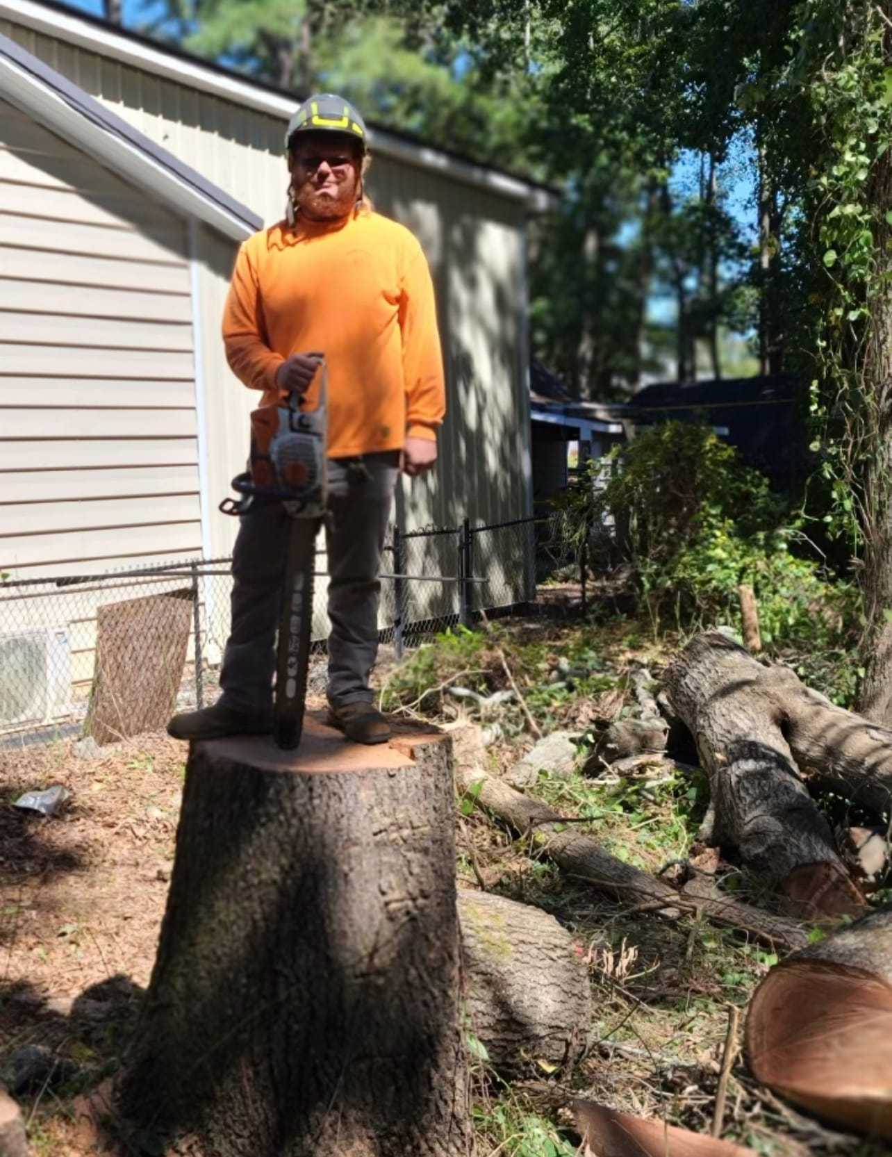 How to Prepare Your Trees for Hurricane Season