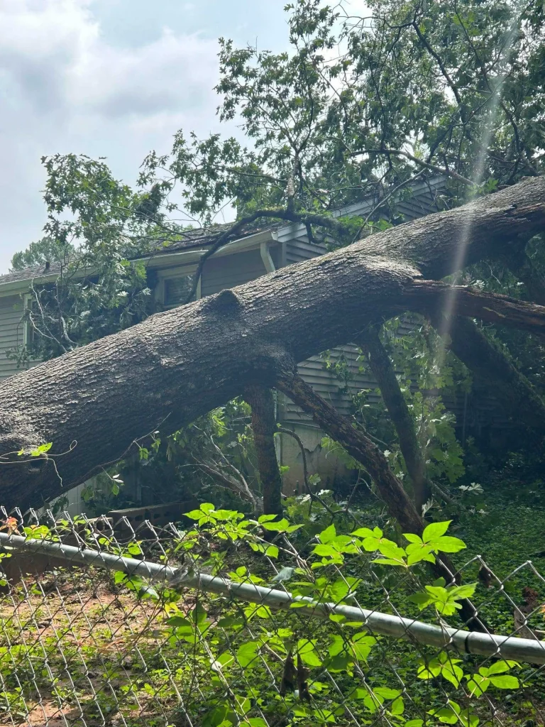 Fonvilletreeservice emergency response to massive fallen oak tree crushing residential roof after severe storm in NC