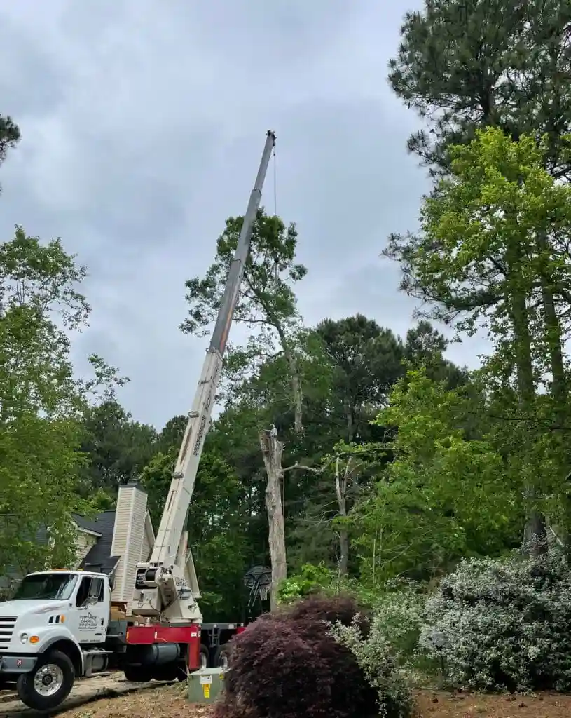 Fonvilletreeservice crane truck lifting cut tree sections from residential property surrounded by pine trees in NC