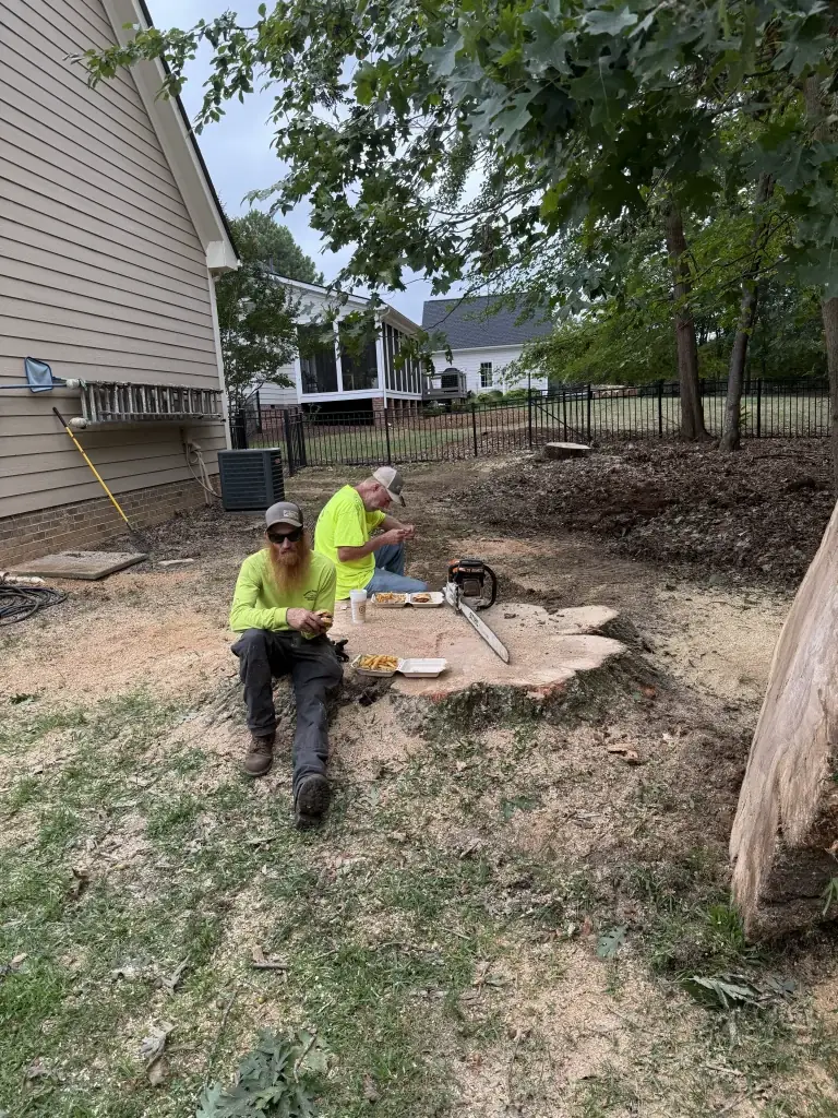 Fonvilletreeservice crew members in safety yellow shirts taking lunch break on fresh cut tree stump with chainsaw nearby in NC backyard