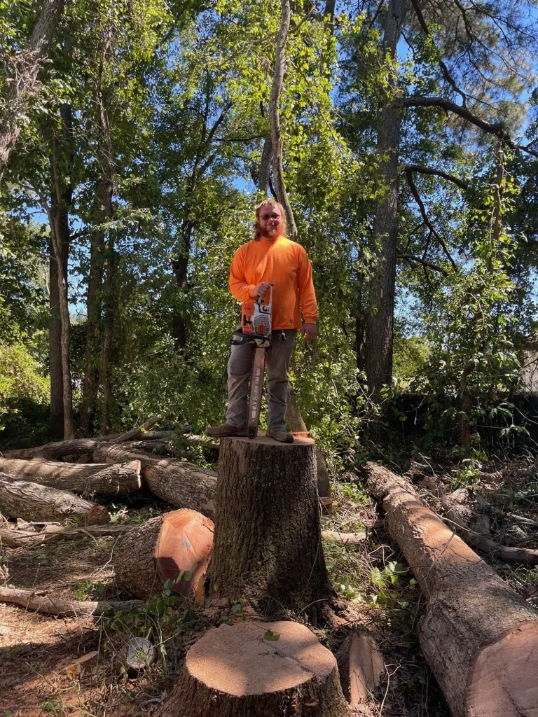 Fonvilletreeservice arborist standing on fresh cut tree stump holding chainsaw after tree removal in wooded NC property