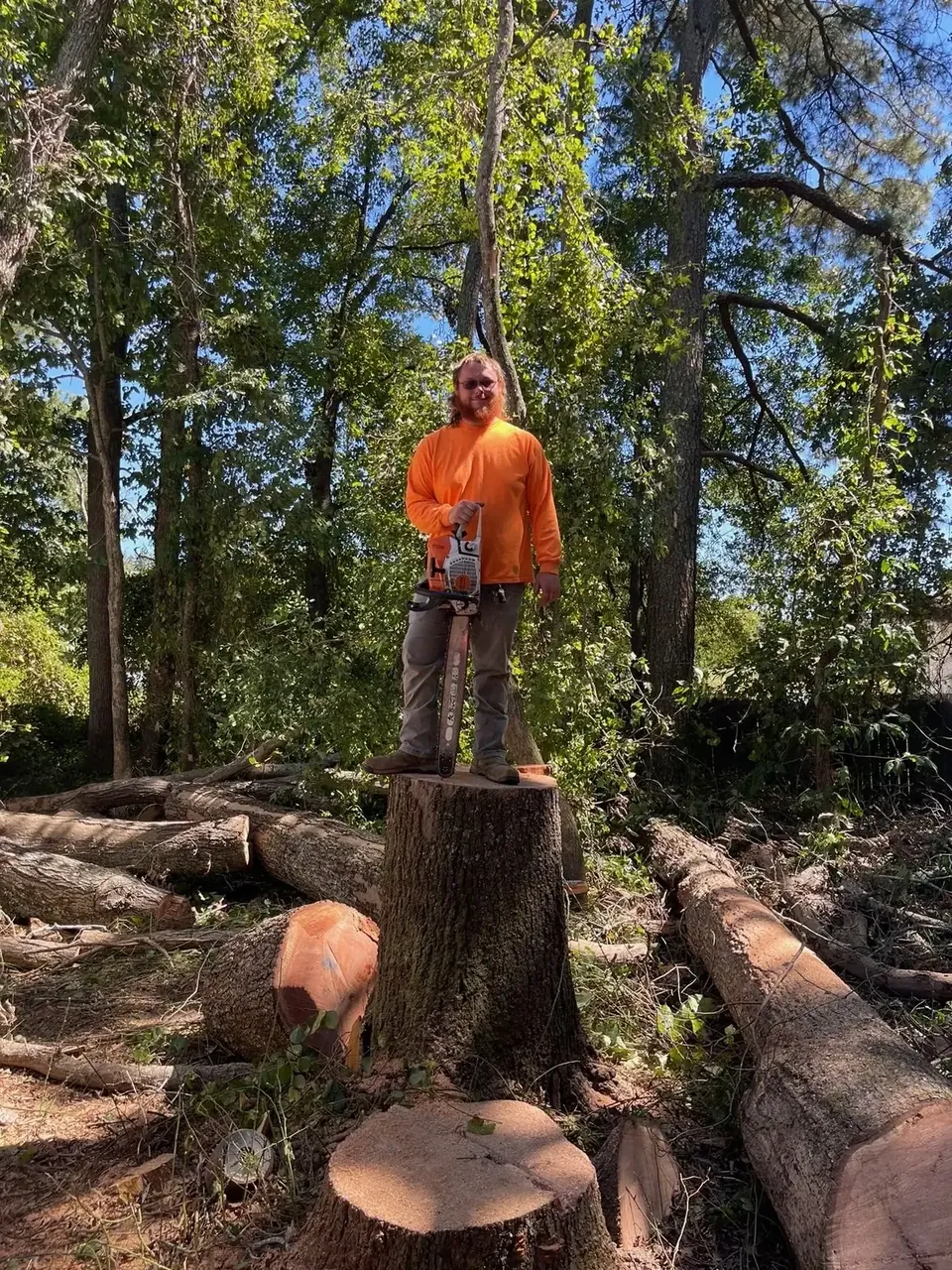 Fonvilletreeservice arborist standing on fresh cut tree stump holding chainsaw after tree removal in wooded NC property