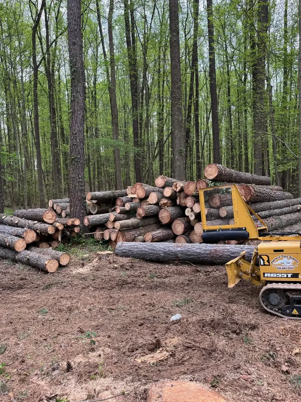 Log pile and loader during a lot clearing job Log pile and loader during a lot clearing job