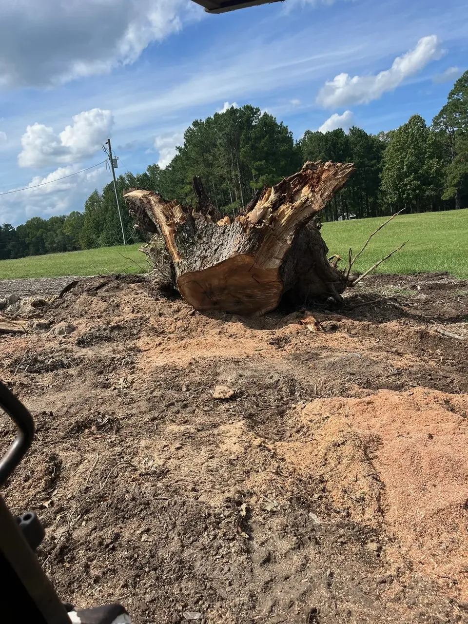 Root ball removed during land clearing Root ball removed during land clearing