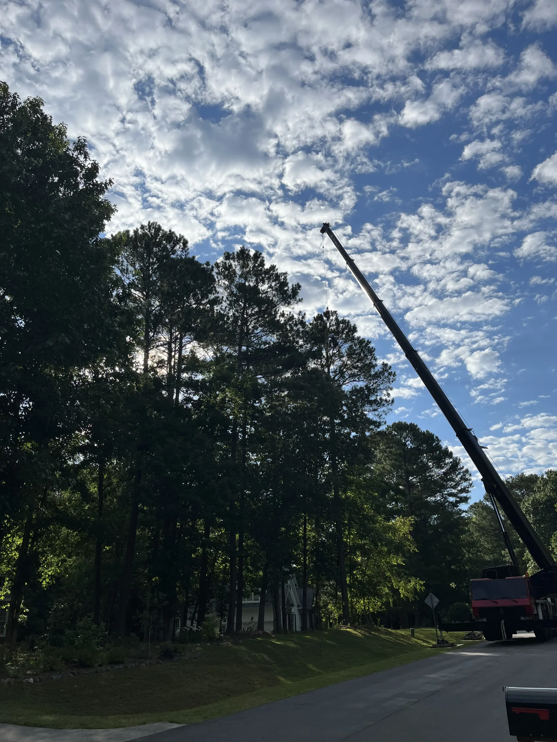 Fonvilletreeservice crane extended above tall pine trees performing controlled tree removal in residential NC neighborhood