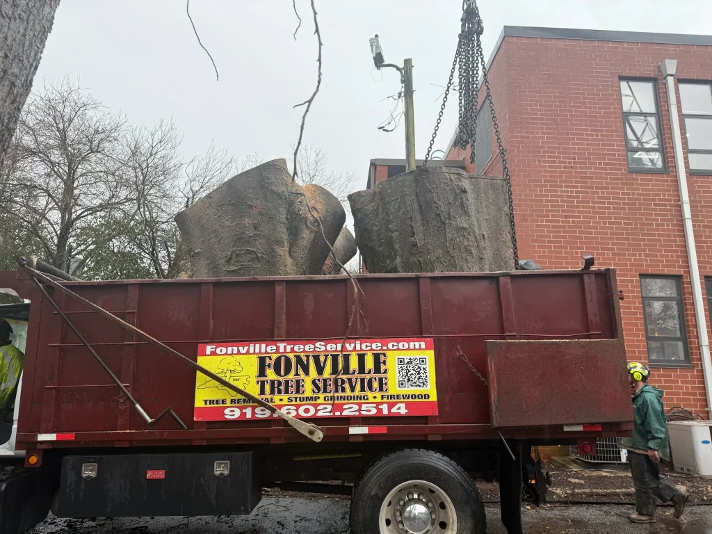 Fonvilletreeservice crew using crane to load massive cut tree trunk sections into dump truck at NC property