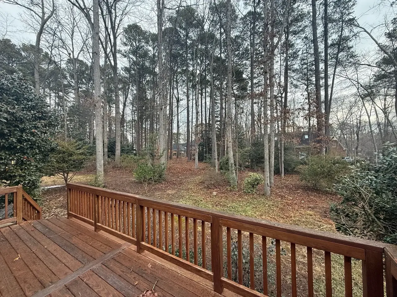 Backyard lot cleared down to a workable surface Backyard lot cleared down to a workable surface