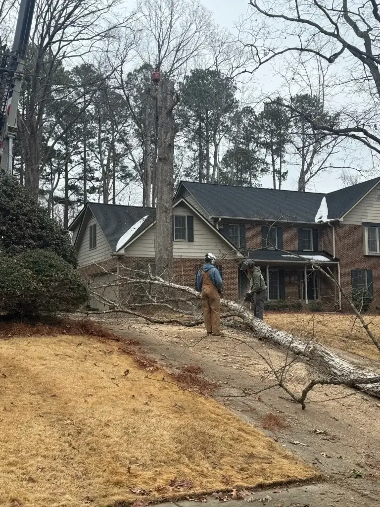 Fonvilletreeservice crew members in safety gear processing felled tree trunk while crane operator works overhead at residential property in NC