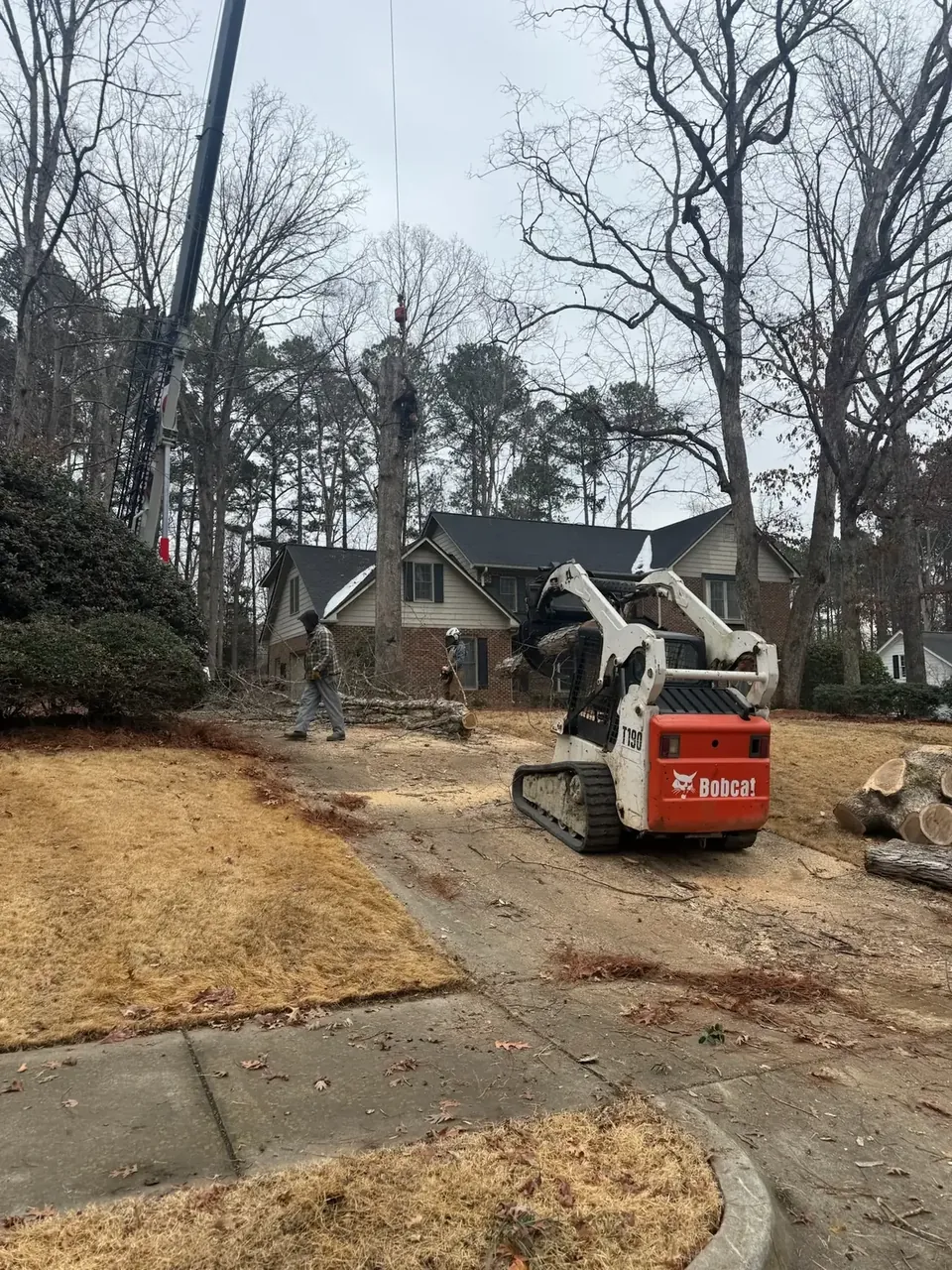 Skid steer moving logs across a lawn during cleanup Skid steer moving logs across a lawn during cleanup