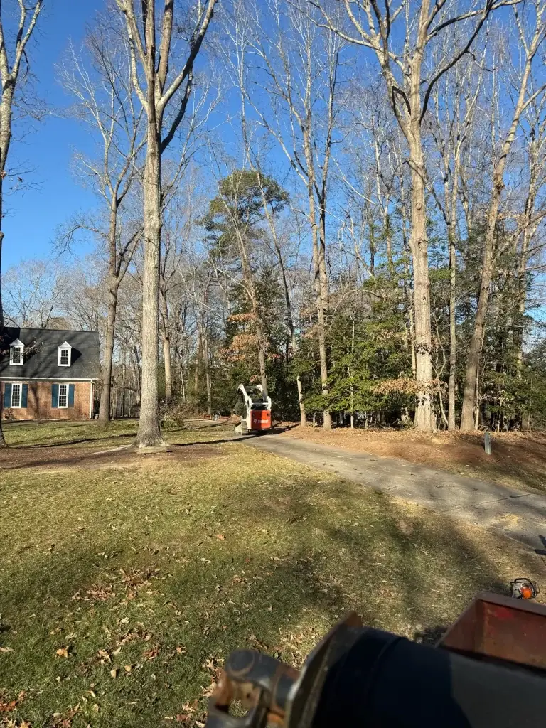 Fonvilletreeservice Bobcat skid steer operating on residential driveway during lot clearing with bare deciduous trees in NC