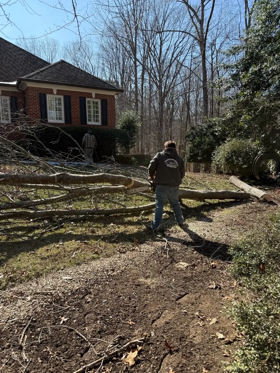 Crew dragging storm-downed branches for cleanup