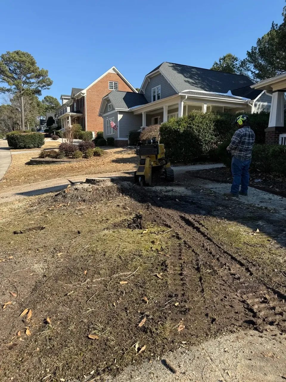 Yard cleaned up after stump grinding near a home